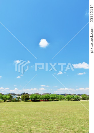 Blue sky and city park in early summer Blue sky and city park in early summer 55555114