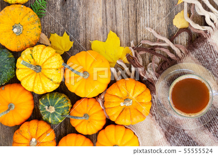 Fall leaves autumn background Fall leaves autumn background 55555524