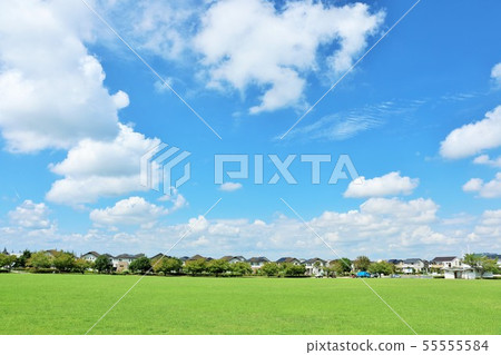 清新的夏天藍天和城市公園 55555584