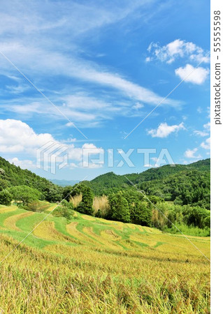 秋季清楚的藍天和卓有成效的米大陽台 55555598