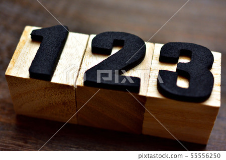 123 123 55556250