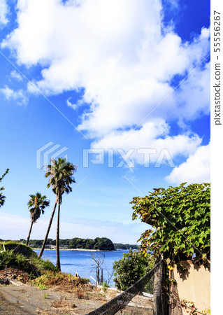 Private beach 55556267