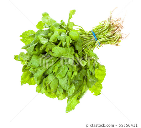 bunch of fresh caucasian cress (tsitsmati) herb 55556411