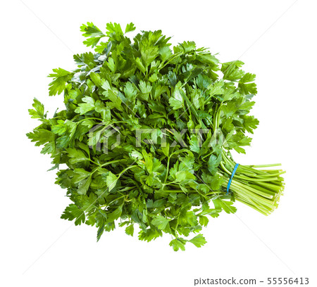 big bunch of natural green parsley herb isolated big bunch of natural green parsley herb isolated 55556413