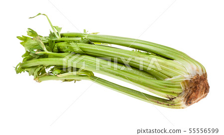 natural celery stalk isolated on white natural celery stalk isolated on white 55556599