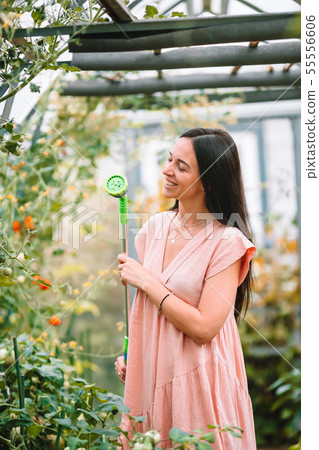 Young woman with basket of greenery and vegetables in the greenhouse. Harvesting time Young woman with basket of greenery and vegetables in the greenhouse. Harvesting time 55556606