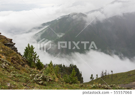 Buryatia, Arshan resort, June 2019, mountain view Buryatia, Arshan resort, June 2019, mountain view 55557068