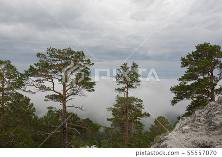 Buryatia, Arshan resort, June 2019, mountain view 55557070