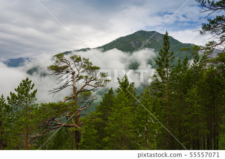 Buryatia, Arshan resort, June 2019, mountain view 55557071