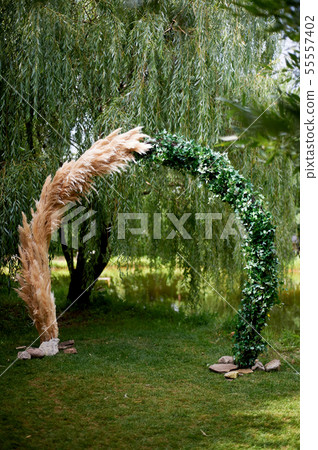 Wedding floristry.Arch of pampas grass. Wedding decor using cereals. On-site registration. 55557402