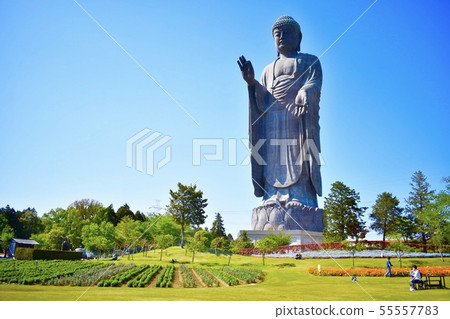 Ushiku Daibutsu Ushiku City Ibaraki Prefecture Ushiku Daibutsu Ushiku City Ibaraki Prefecture 55557783