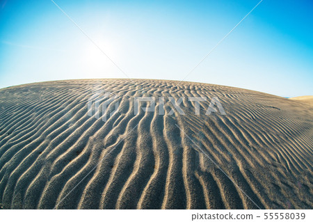 鳥取沙丘Windprint藍天 55558039