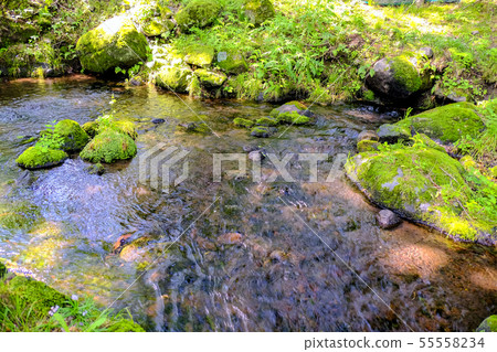 One-third spring water One-third spring water 55558234