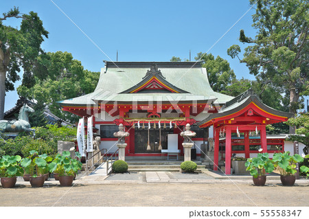 [Nakami Shrine]大阪縣泉佐野市Nakasho 55558347