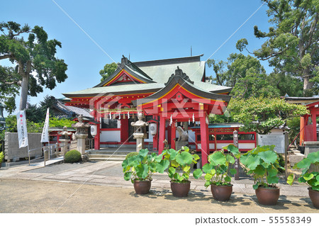 [Nakami Shrine] Nakasho, Izumisano City, Osaka Prefecture 55558349