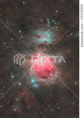 偉大的獵戶座大星雲 55558365