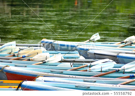 Small boat Small boat 55558792