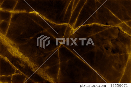 Gold marble texture background 55559071