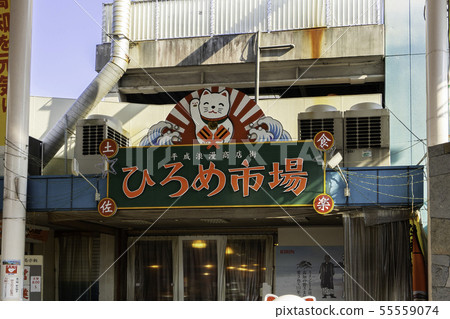 高知縣高知市高知市 55559074