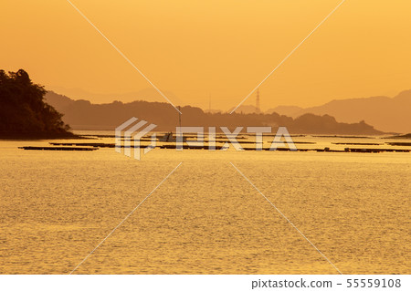 Morning of Setouchi Morning of Setouchi 55559108