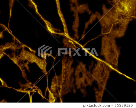 Gold marble texture background Gold marble texture background 55559180