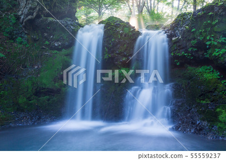Asahi's summer waterfall in Kaneyama, Fujiyoshida, Japan Asahi's summer waterfall in Kaneyama, Fujiyoshida, Japan 55559237