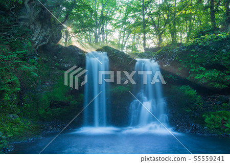 Asahi's summer waterfall in Kaneyama, Fujiyoshida, Japan 55559241