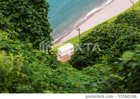 Botanical garden in the Batumi, Georgia 55560186