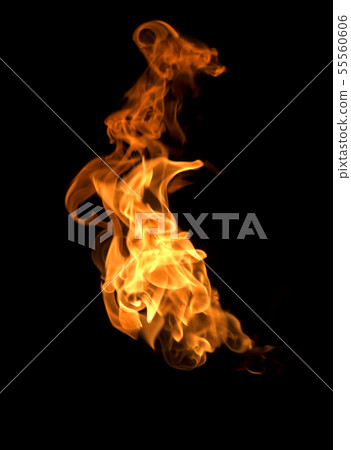 Fire flames on black background 55560606