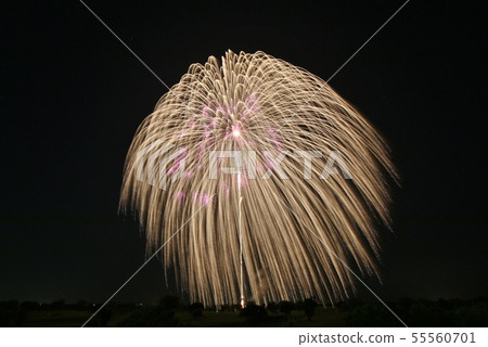 Furukawa Fireworks 2019_04 55560701