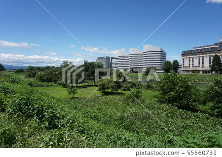 流經八王子市的淺川的河床 流經八王子市的淺川的河床 55560731