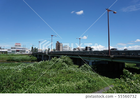在八王子市的淺川的Owada橋樑 在八王子市的淺川的Owada橋樑 55560732