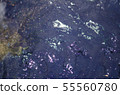 Production of colored water for dyeing fabrics 55560780