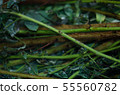 Production of colored water for dyeing fabrics 55560782