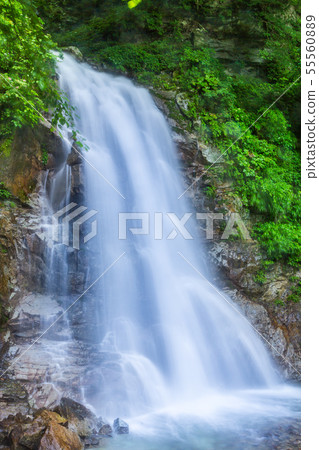 Ishinokugawa Valley Nino Falls (Hatsumi Falls) in Hokuto City, Yamanashi Prefecture in summer Ishinokugawa Valley Nino Falls (Hatsumi Falls) in Hokuto City, Yamanashi Prefecture in summer 55560889