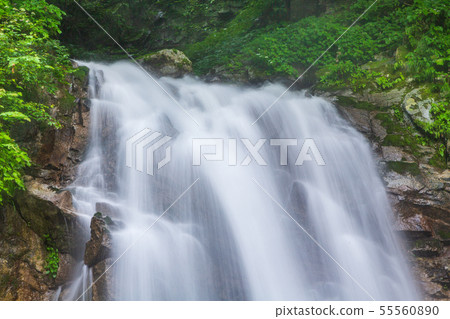 Ishinokugawa Valley Nino Falls (Hatsumi Falls) in Hokuto City, Yamanashi Prefecture in summer Ishinokugawa Valley Nino Falls (Hatsumi Falls) in Hokuto City, Yamanashi Prefecture in summer 55560890