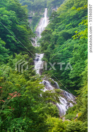 Seishu Waterfall in Ishizurukawa Valley, Hokuto City, Yamanashi Prefecture in summer 55560897