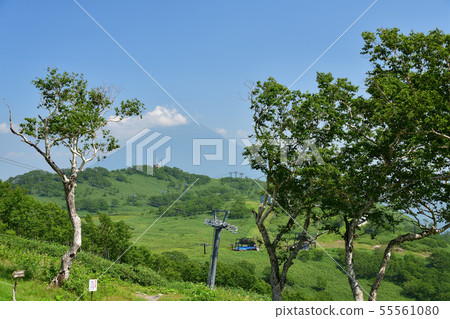 Shooting the summer landscape of the 1000 km plateau of Niseko Annupuri Ski Resort in Niseko Town 55561080