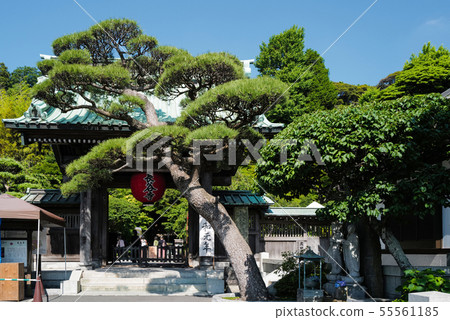 Kamakura Haseji Temple Sanmon 55561185
