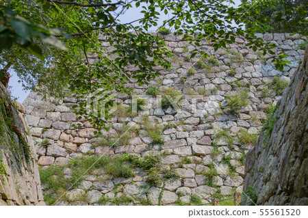 Hyogo Prefecture, Akashi Castle 55561520