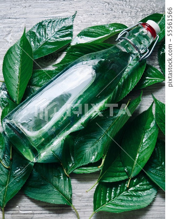玻璃水瓶和綠葉 55561566