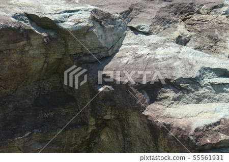 粗糙的皮膚 55561931