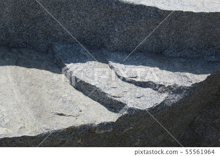 Rough rough skin Rough rough skin 55561964