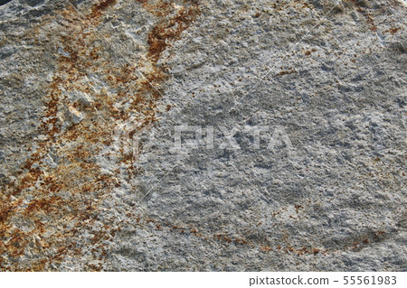 Rough rough skin Rough rough skin 55561983