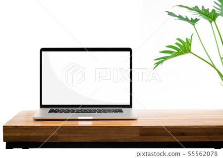 Laptop blank screen on wooden table green plant 55562078