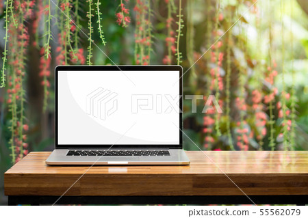 Laptop blank screen on wooden table red flowers 55562079