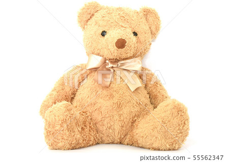 Teddy bears on a white background Teddy bears on a white background 55562347