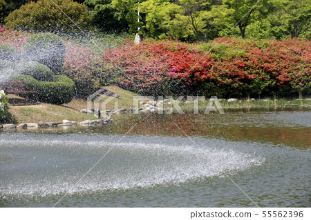 池塘噴泉 55562396