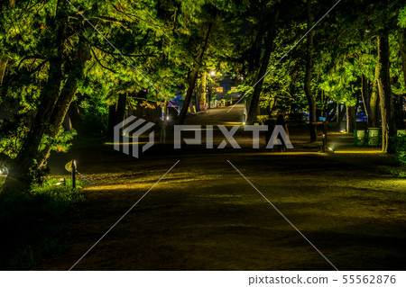 Three views of Japan, Amanohashidate, summer light up Three views of Japan, Amanohashidate, summer light up 55562876