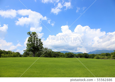 藍天和白色多雲地球 藍天和白色多雲地球 55562886